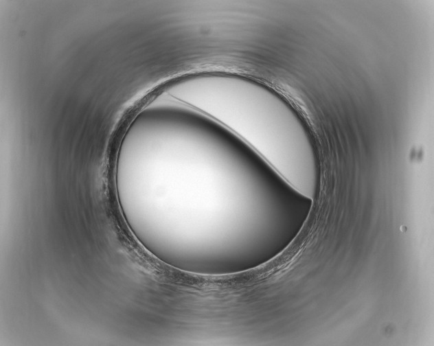X0000094360388200711021341