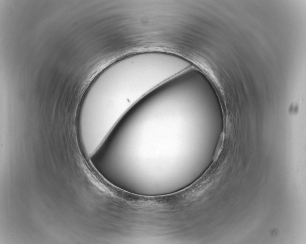 X0000094360389200711021341