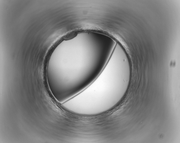 X0000094360391200711021341