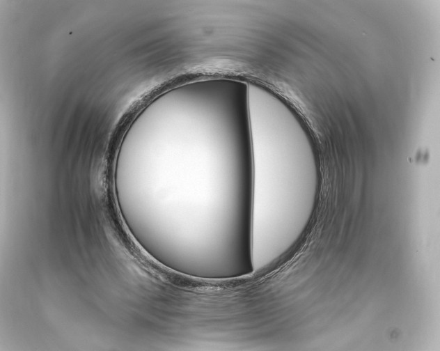 X0000094360392200711021341