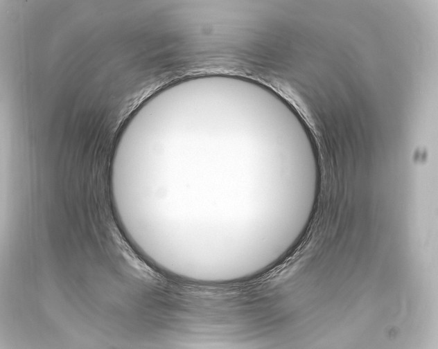 X0000094360393200711021341