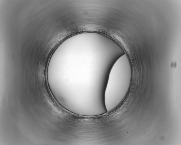 X0000094360394200711021341