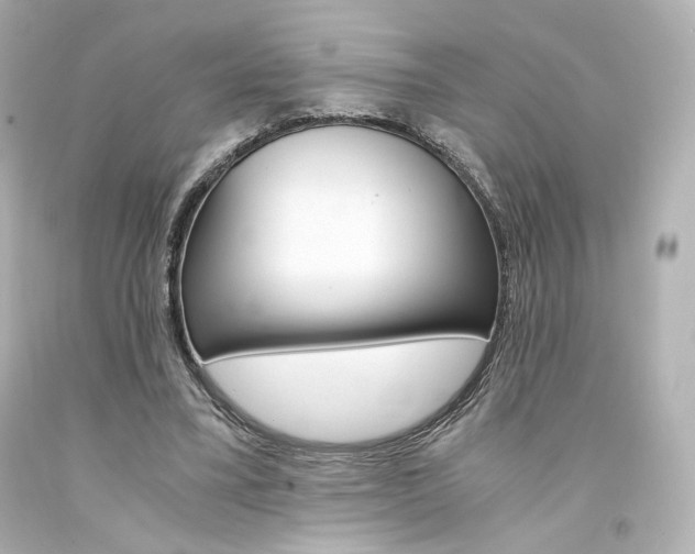 X0000094360395200711021341