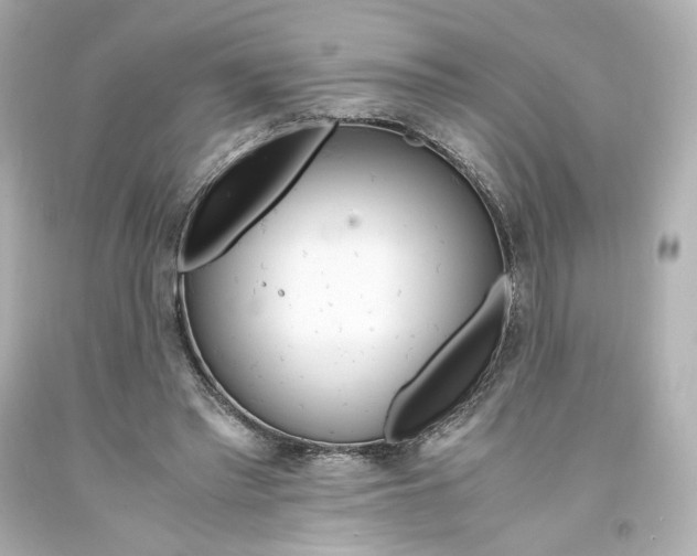 X0000094360397200711021341