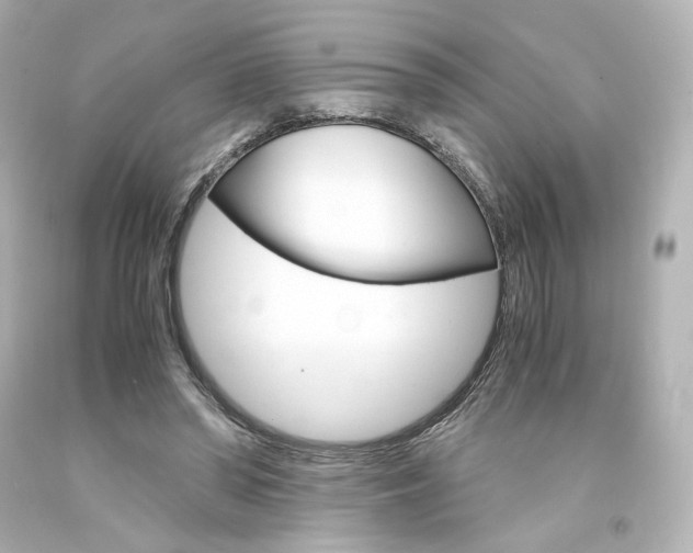 X0000094360398200711021341