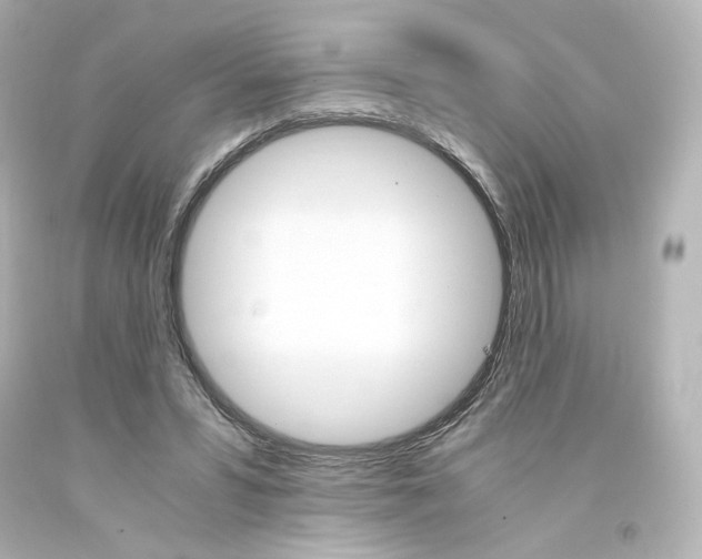 X0000094360399200711021341