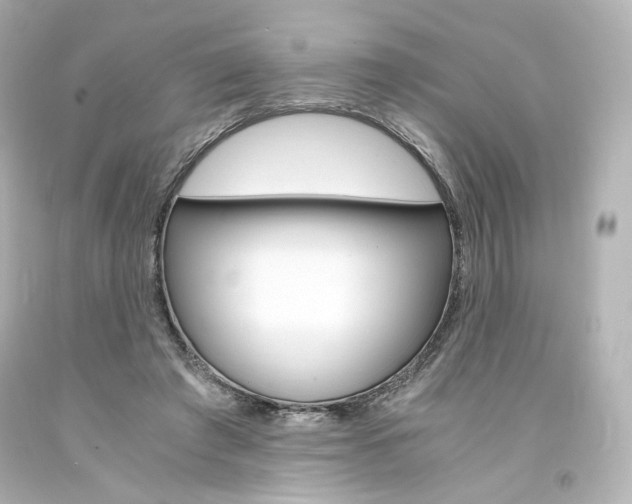 X0000094360401200711021341
