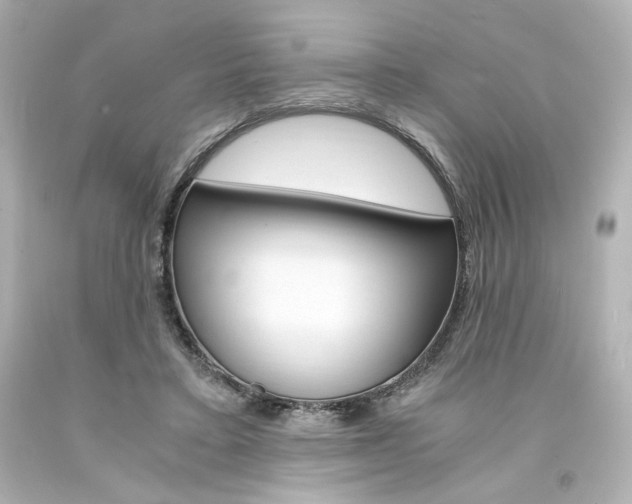 X0000094360403200711021341