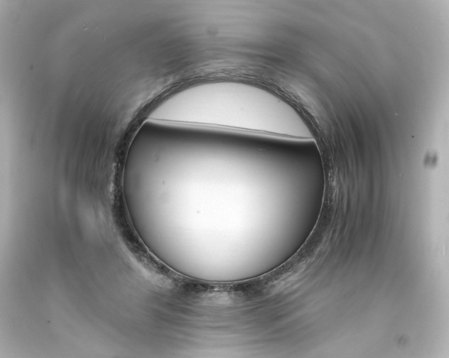 X0000094360404200711021341