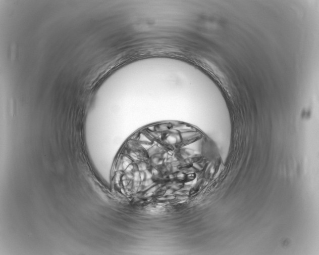 X0000094360405200711021341