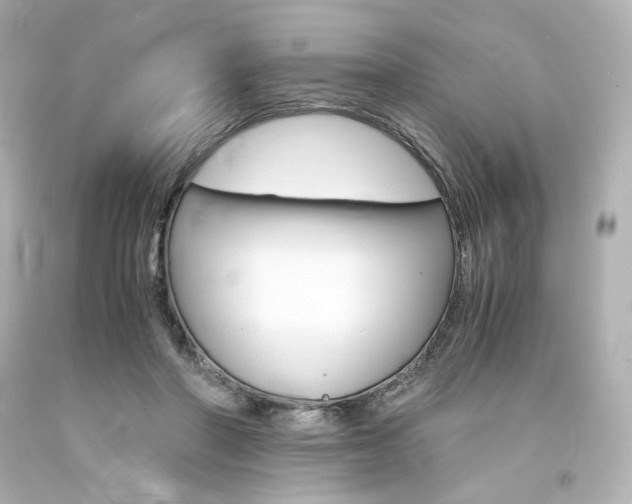 X0000094360406200711021341