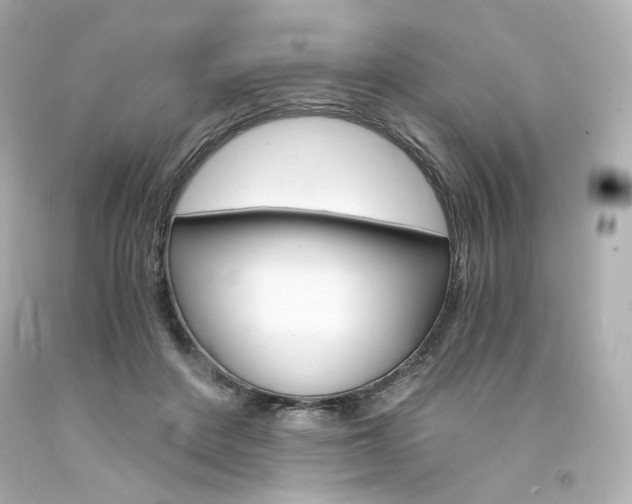 X0000094360408200711021341