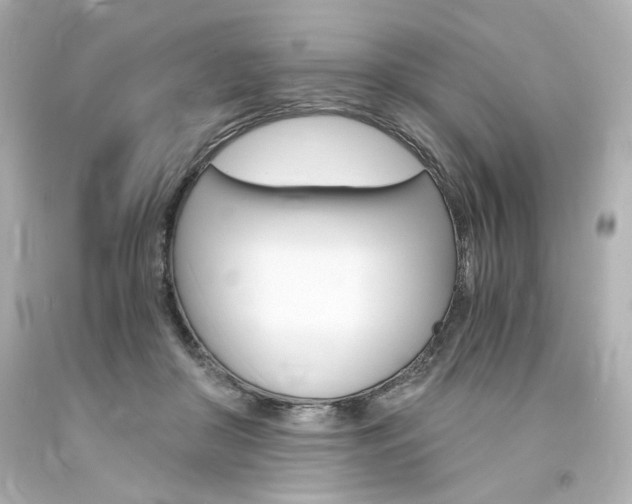 X0000094360410200711021341
