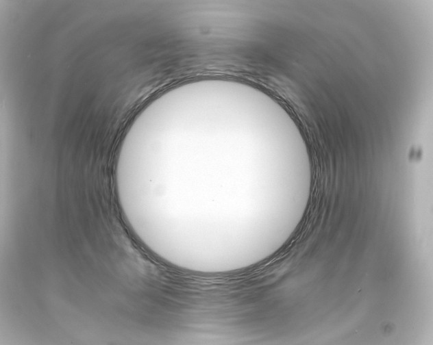 X0000094360415200711021340