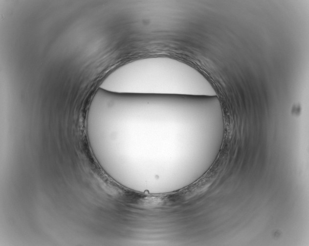 X0000094360418200711021340