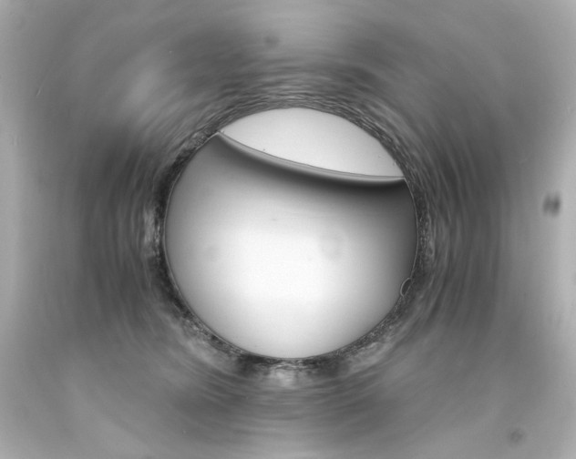 X0000094360420200711021340