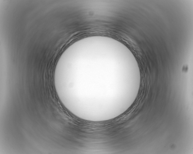 X0000094360421200711021340