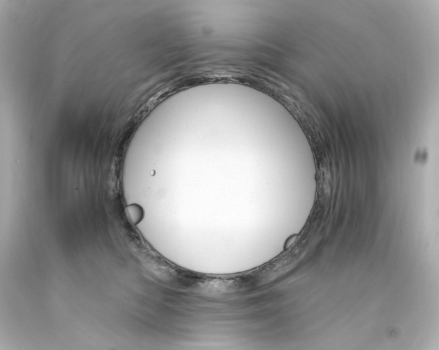 X0000094360422200711021340