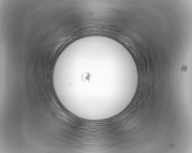 X0000094360423200711021340