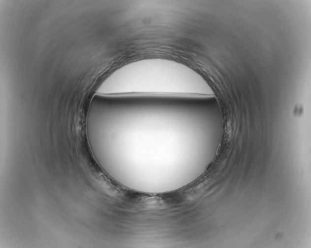 X0000094360424200711021340