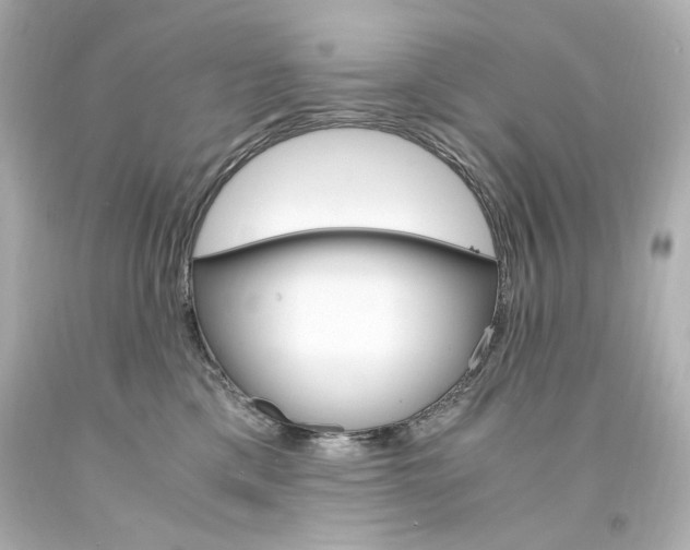 X0000094360425200711021340