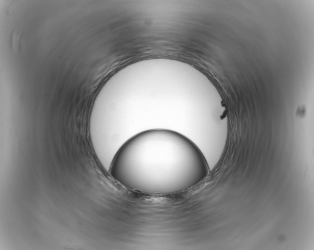 X0000094360428200711021340