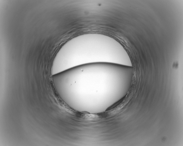 X0000094360429200711021340