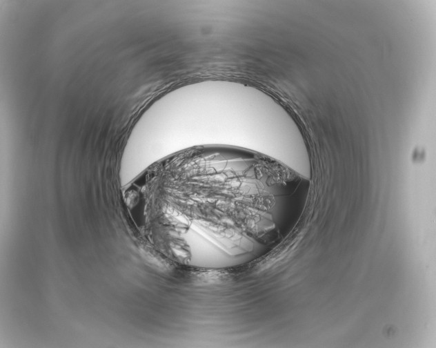 X0000094360432200711021340