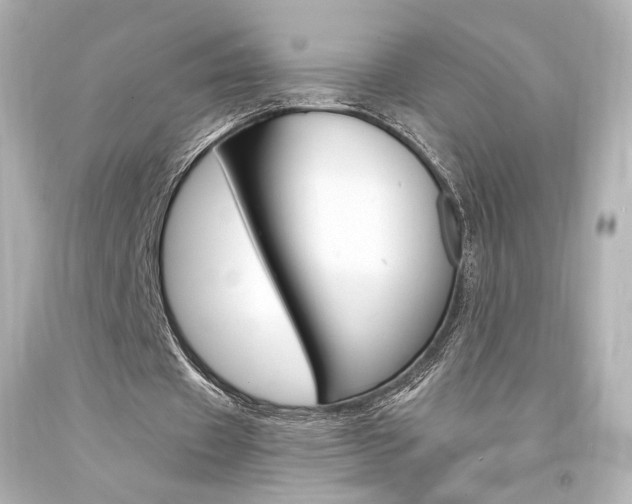 X0000094360433200711021340