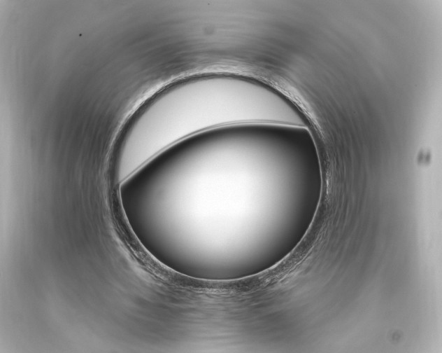X0000094360436200711021340