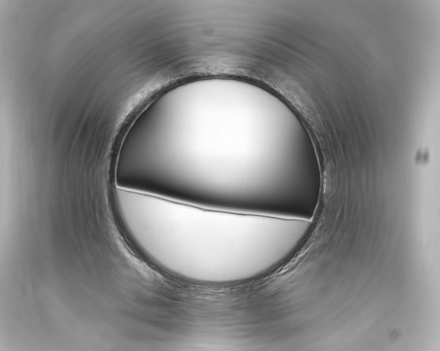 X0000094360438200711021340