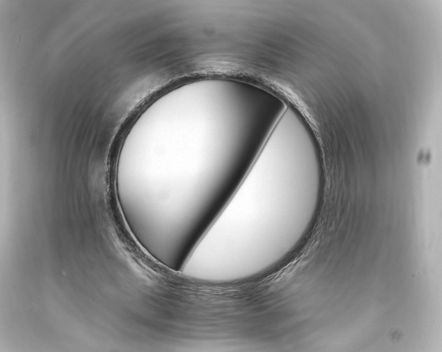 X0000094360439200711021340