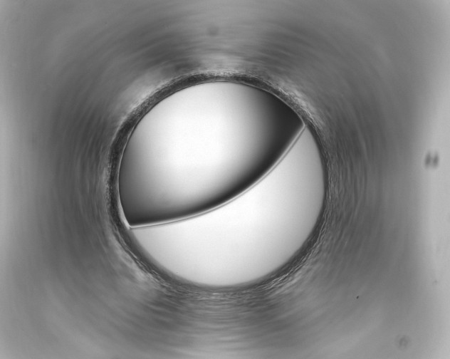X0000094360440200711021340