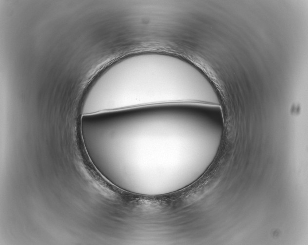 X0000094360442200711021340