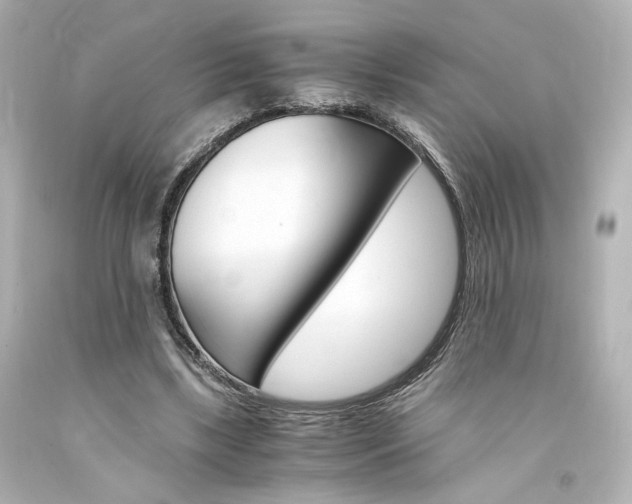 X0000094360443200711021340