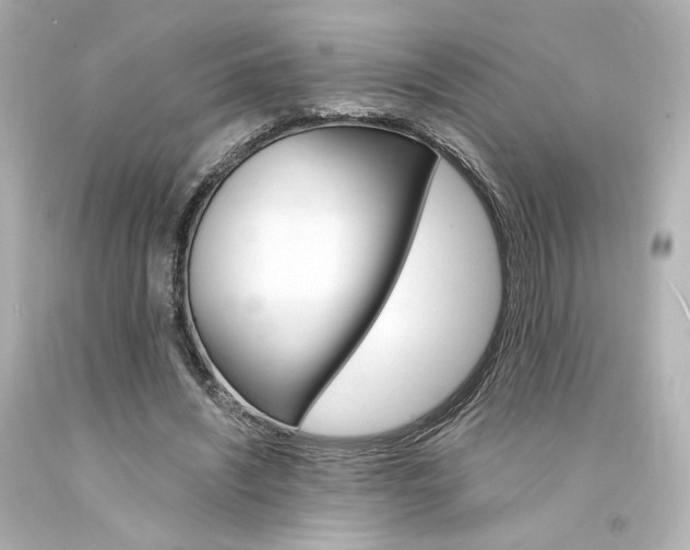 X0000094360444200711021340