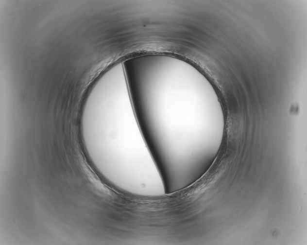 X0000094360445200711021340