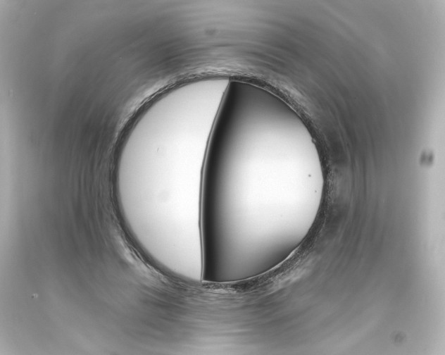 X0000094360446200711021340