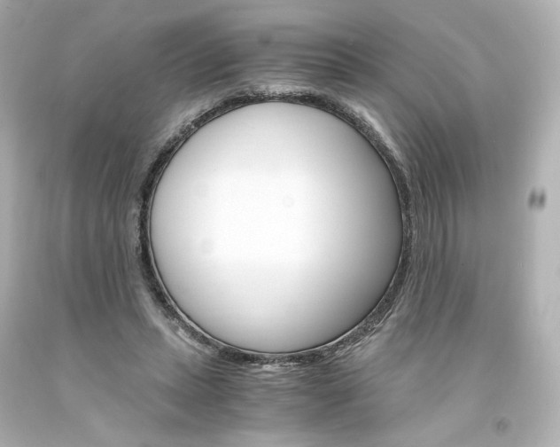 X0000094360447200711021340