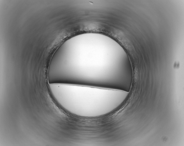 X0000094360449200711021340