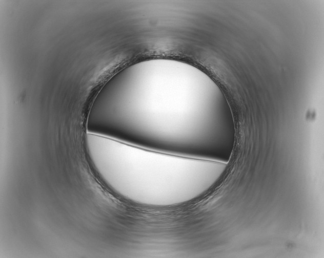 X0000094360450200711021340