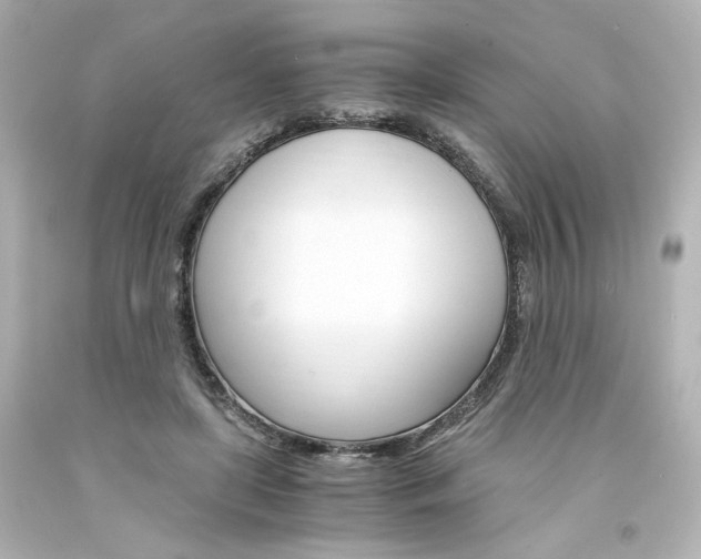 X0000094360451200711021340