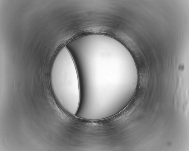 X0000094360453200711021340