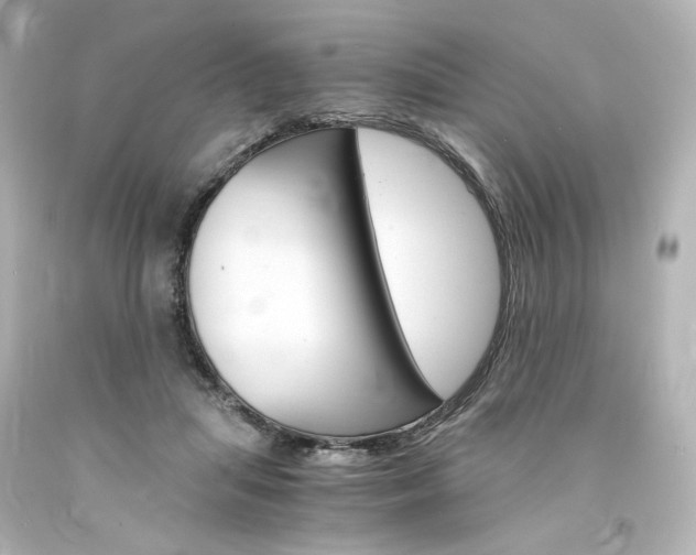 X0000094360455200711021340