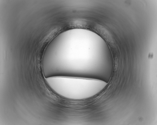 X0000094360457200711021340