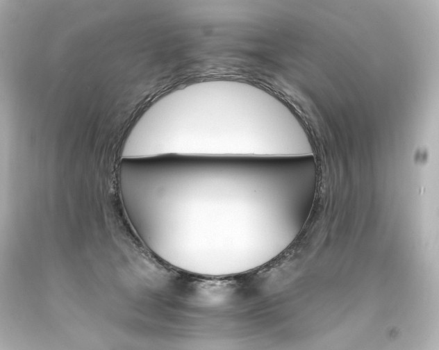 X0000094360465200711021340