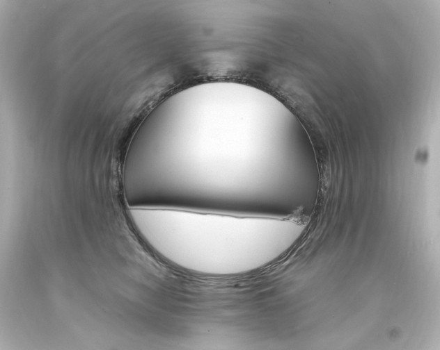 X0000094360470200711021340