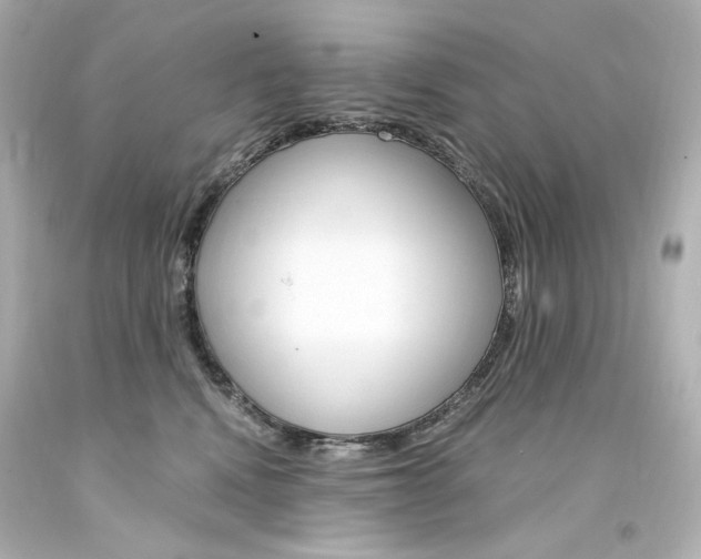 X0000094360472200711021340