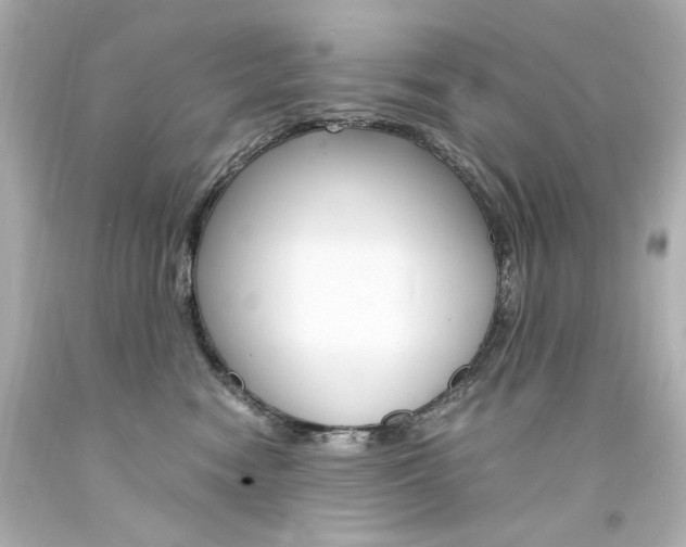 X0000094360474200711021340