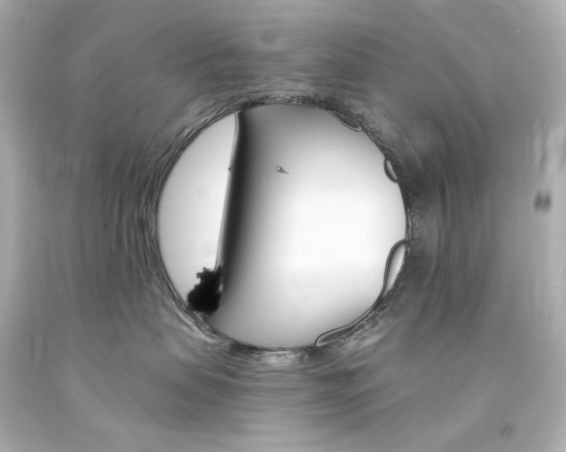 X0000094360479200711021340